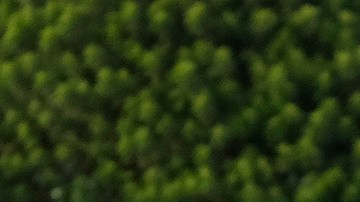 A Los Angeles County Sheriff's official guards a post at the scene after three young children were found dead in a bedroom at a residence in East Los Angeles, Monday, June 28, 2021. (AP Photo/Ringo H.W. Chiu)