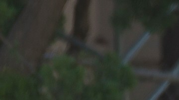 Los Angeles police cordon off the Belmont High School in Los Angeles Thursday, Feb. 1, 2018. Two students were shot inside a Los Angeles middle school classroom Thursday morning and police arrested a female student suspect, authorities said. (AP Photo/Damian Dovarganes)