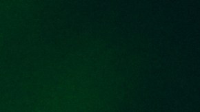 Alquila una gallina para tener huevos