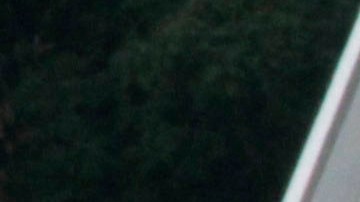 Después de que el avión y el equipaje fueron revisados ​​en busca de explosivos, el Departamento de Policía de Austin autorizó el vuelo