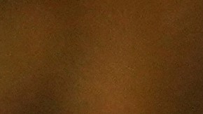 SAG Awards 2025: ¡Conoce a los mejores vestidos!