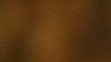 SAG Awards 2025: ¡Conoce a los mejores vestidos!