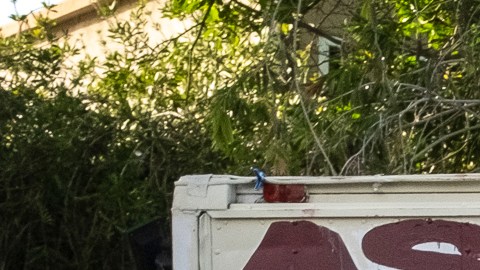 Jesús Hernández y Martina Estrada.