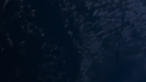 Los científicos aseguran que el asteroide no es lo suficientemente grande como para destruir la vida en la Tierra