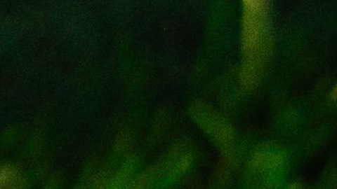 Bajan los precios de las entradas para el Super Bowl: esta es la razón