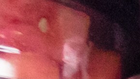 FDA retira del mercado paquetes de refrigerio para el desayuno vendidos en minoristas