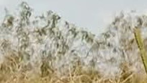 Camioneta dañada por mina terrestre