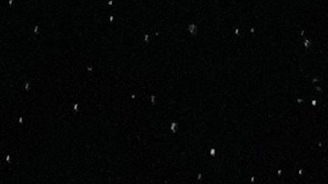 Canelo Álvarez y Dmitry Bivol