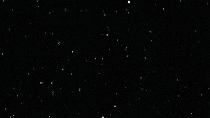 Canelo Álvarez y Dmitry Bivol