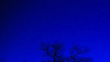 Capitolio estadounidense