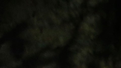 Hallan señales inesperadas de vida en entrañas de la Tierra