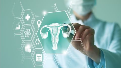 Científicos buscan crear un atlas vaginal que revele secretos del aparato reproductivo femenino