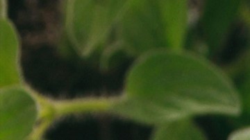 Si sueles cometer alguno de estos errores debes corregirlo para evitar que pueda terminar dañando tu PC