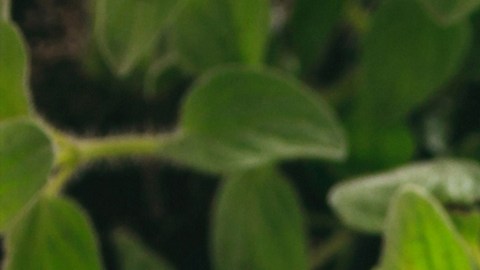 Si sueles cometer alguno de estos errores debes corregirlo para evitar que pueda terminar dañando tu PC