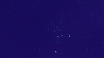 Crédito Tributario por Hijos 2025