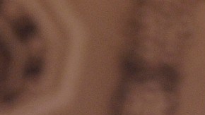 Trump describió a Bongino  como un “hombre de increíble amor y pasión por nuestro país”.