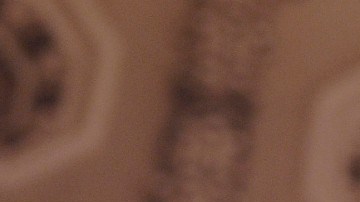 Trump describió a Bongino  como un “hombre de increíble amor y pasión por nuestro país”.