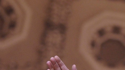 Trump describió a Bongino  como un “hombre de increíble amor y pasión por nuestro país”.