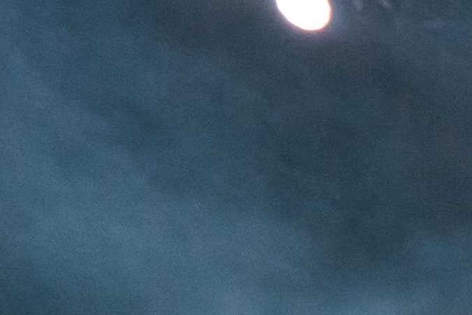 David Benavídez vs. David Morrell