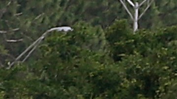 Las autoridades aeronáuticas de Canadá y Estados Unidos han iniciado ya la investigación para determinar las causas del accidente.