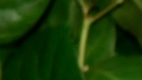 Demi Moore habló sobre la frecuencia con la que visita a Bruce Willis