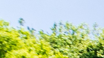 Los 10 artículos imperdibles que encontrarás en Dollar Tree en 2025