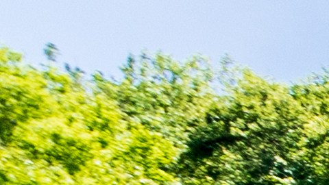 Los 10 artículos imperdibles que encontrarás en Dollar Tree en 2025