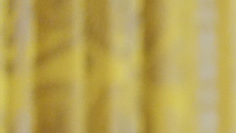 Donald Trump, presidente estadounidense