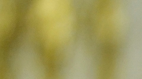 Trump deja “instrucciones” para que, si Irán lo manda asesinar, el país sea “aniquilado”