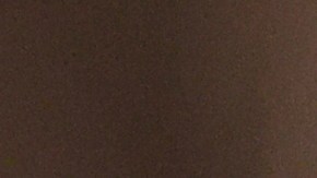 El presidente Donald Trump.