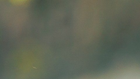 Los nuevos tipos de drones son capaces de transportar y desplegar drones en el frente de batalla