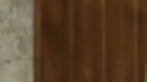 Elissa Slotkin, senadora por Michigan
