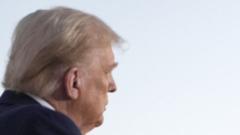 Donald Trump y Elon Musk