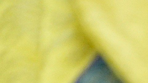 La inusual solicitud podría poner datos confidenciales de millones de contribuyentes en manos de Elon Musk.