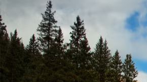 Esta es la Jeep Wrangler 4xe Backcountry 2025