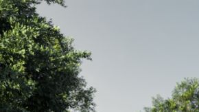 Esta es la Kia PV5 Passenger