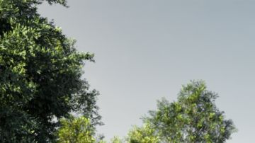 Esta es la Kia PV5 Passenger