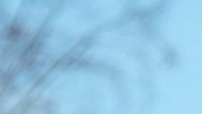 An unidentified high school student is assisted by paramedics after a fist fight broke among students at a rally to stop President Trump's mass deportations and demand immigration reform in downtown Los Angeles on Friday, Feb. 7, 2025. (AP Photo/Damian Dovarganes)