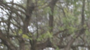 Publicación: Dic. 22 2024 Fotógrafo: Archivo Lugar: SANTIAGO, NL Formato: 1500 x 1000 JPG Documento: 610.0 KB Folio: 2460409