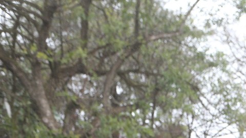 Publicación: Dic. 22 2024 Fotógrafo: Archivo Lugar: SANTIAGO, NL Formato: 1500 x 1000 JPG Documento: 610.0 KB Folio: 2460409