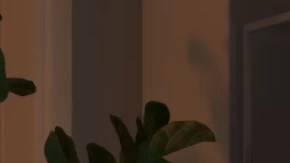 La función de Espejo se encuentra disponible en todos los modelos de Fire TV