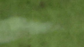 Venezuela blanqueó 10-0 a Japón