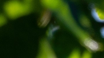 Google podría perder cientos de millones de dólares en caso de ser encontrado culpable