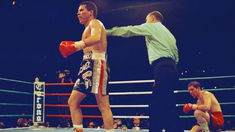 Greg Haugen vs. Julio César Chávez