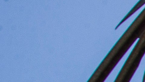 Las autoridades de EE.UU. informaron que los deportados estaba en Guantánamo.
