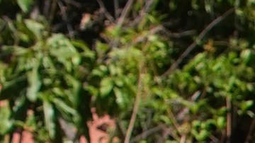 Tras su desaparición, autoridades mexicanas iniciaron operativos en la zona, mientras que en Unidos, el FBI abrió una investigación.