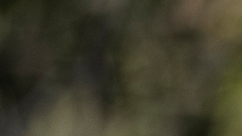 Hombre y padre ganan la lotería