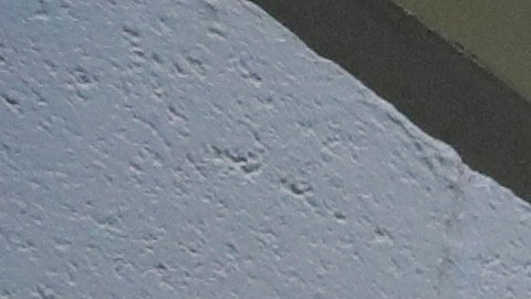 Delaney Hall había funcionado anteriormente como centro de detención hasta 2017.