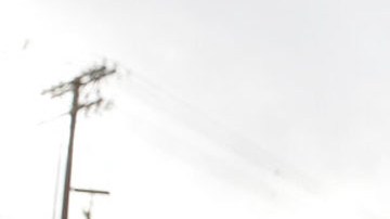 Agente del Servicio de Inmigración y Aduanas y Control de Aduanas