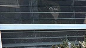 ICE ha realizado operativos a nivel nacional.